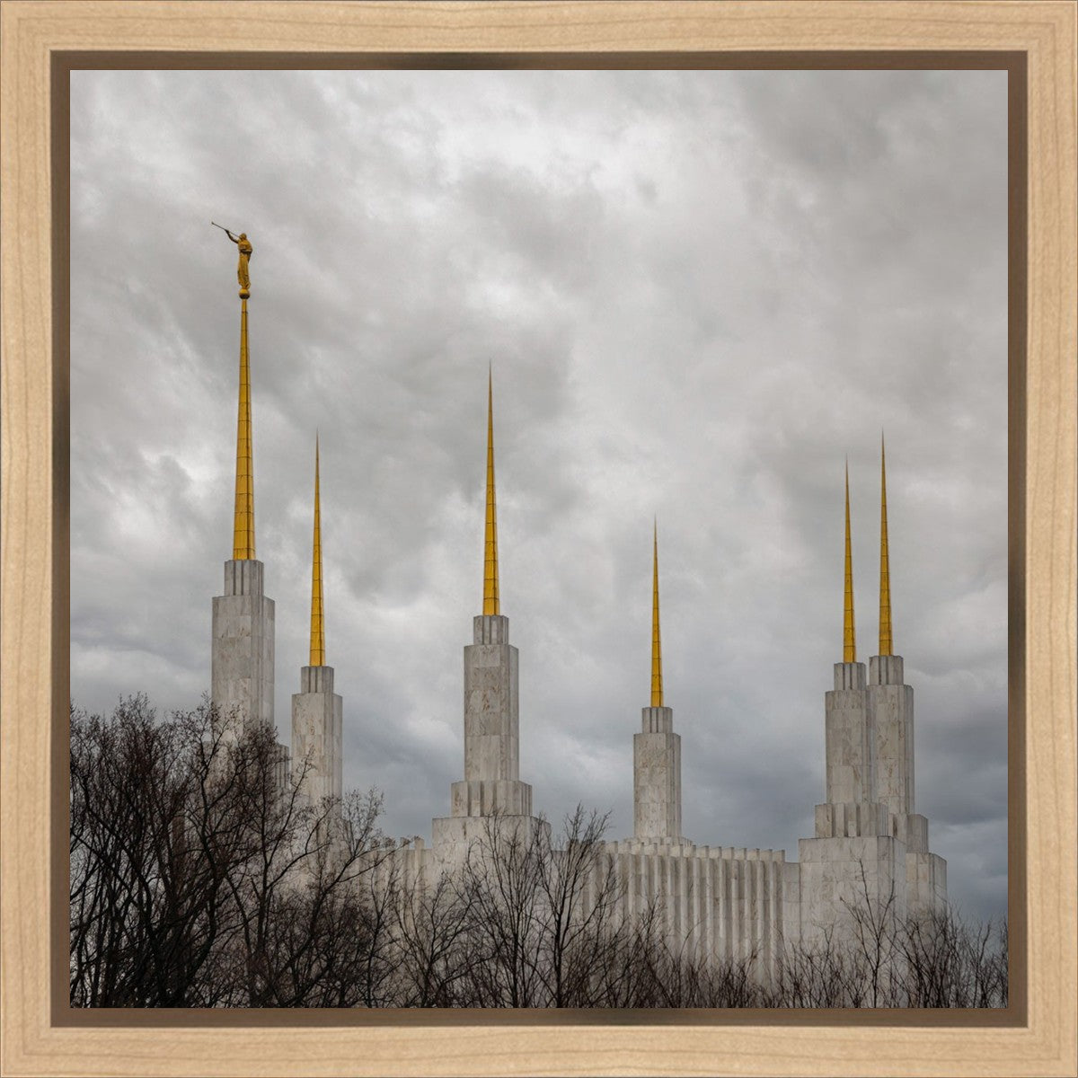 Washington DC Through Life's Storms Gallery Wrap