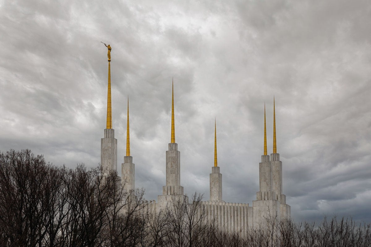 Washington DC Through Life's Storms Gallery Wrap