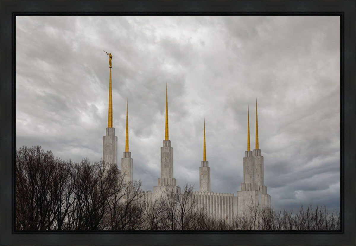 Washington DC Through Life's Storms Gallery Wrap