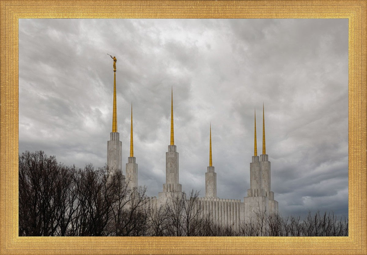 Washington DC Through Life's Storms