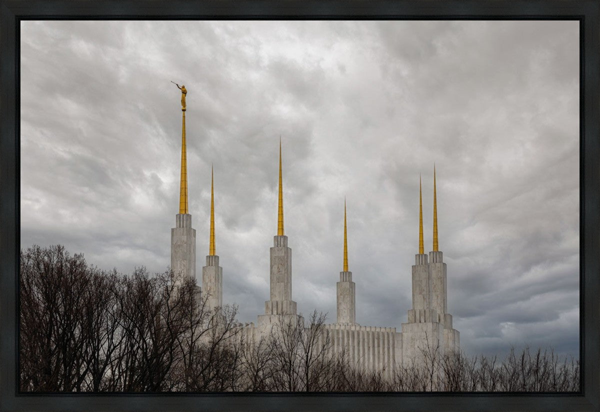 Washington DC Through Life's Storms Gallery Wrap