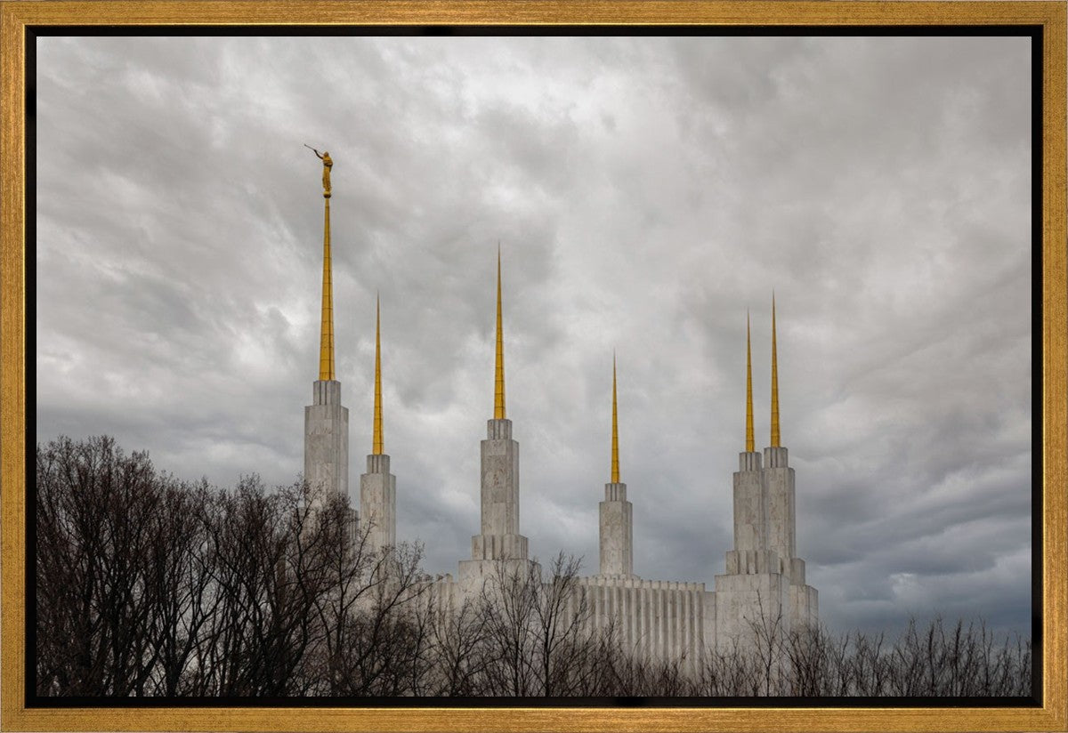 Washington DC Through Life's Storms Gallery Wrap