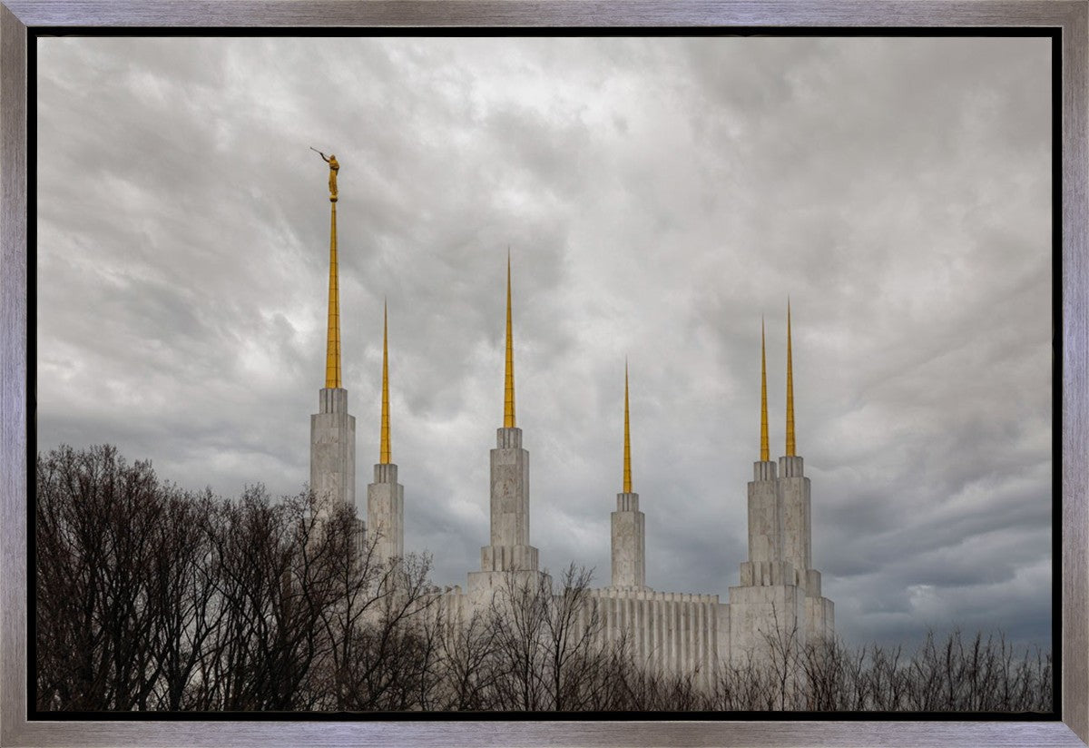 Washington DC Through Life's Storms Gallery Wrap