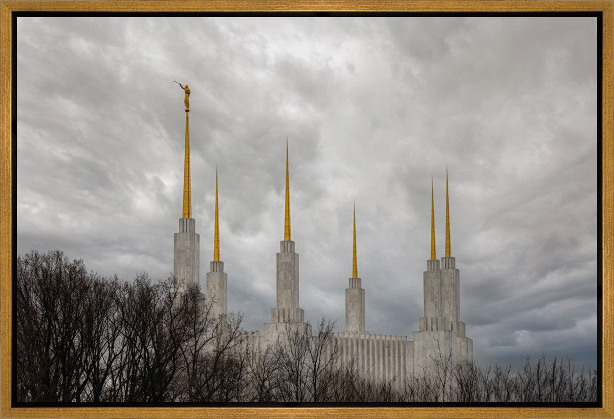 Washington DC Through Life's Storms Gallery Wrap