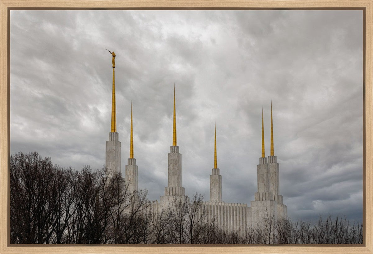 Washington DC Through Life's Storms Gallery Wrap