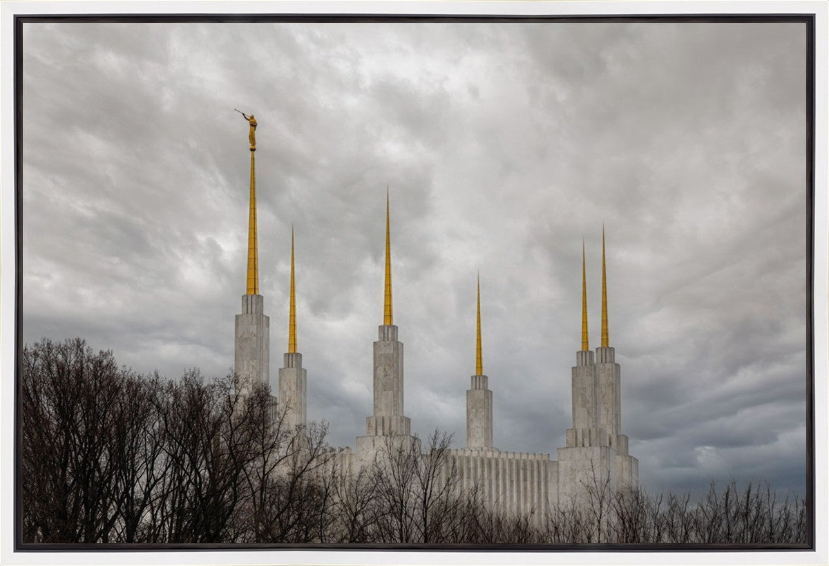 Washington DC Through Life's Storms Gallery Wrap