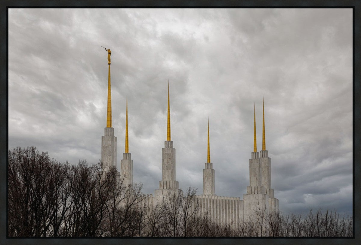Washington DC Through Life's Storms Gallery Wrap