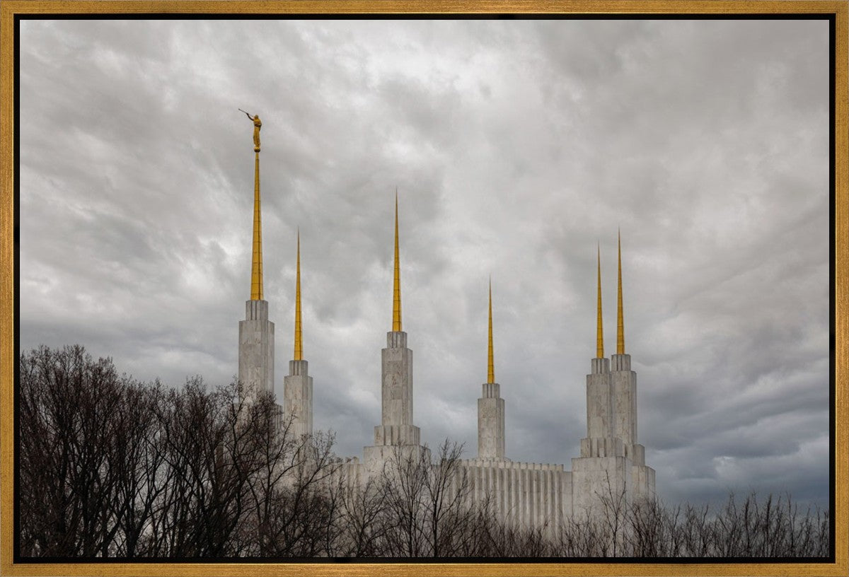 Washington DC Through Life's Storms Gallery Wrap