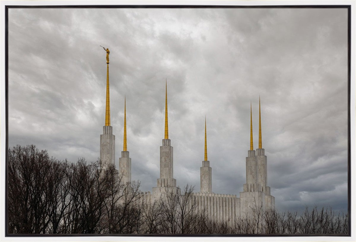 Washington DC Through Life's Storms Gallery Wrap