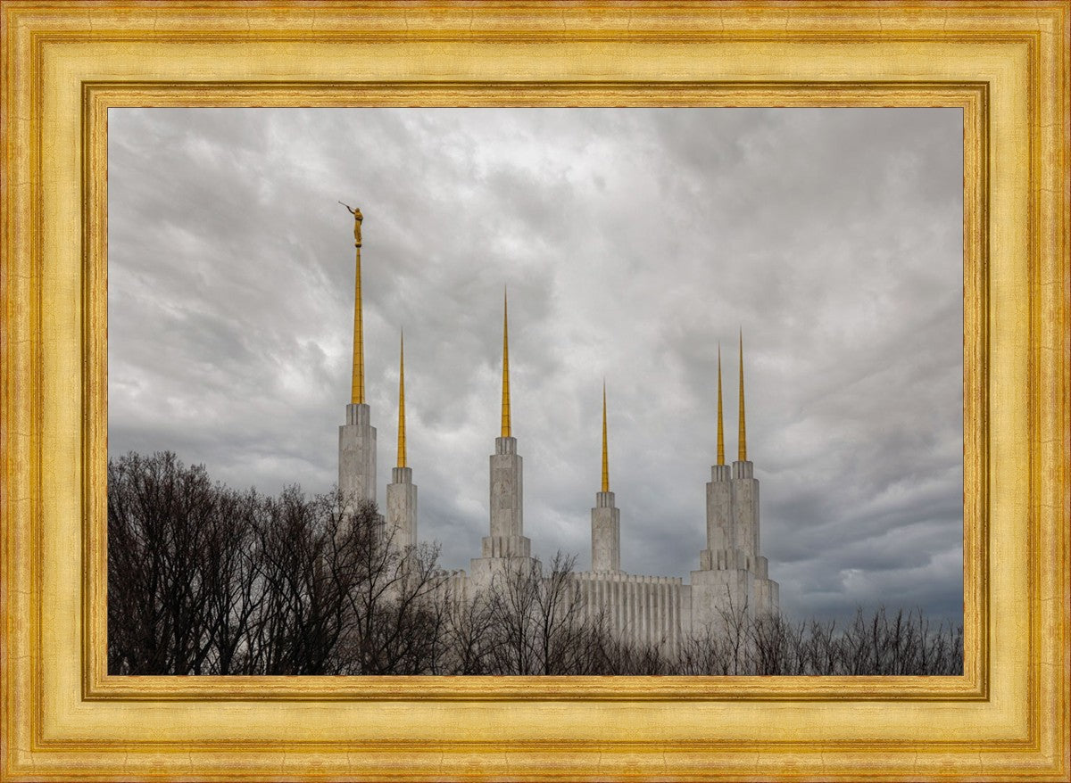 Washington DC Through Life's Storms