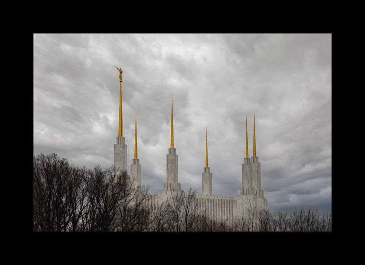 Washington DC Through Life's Storms