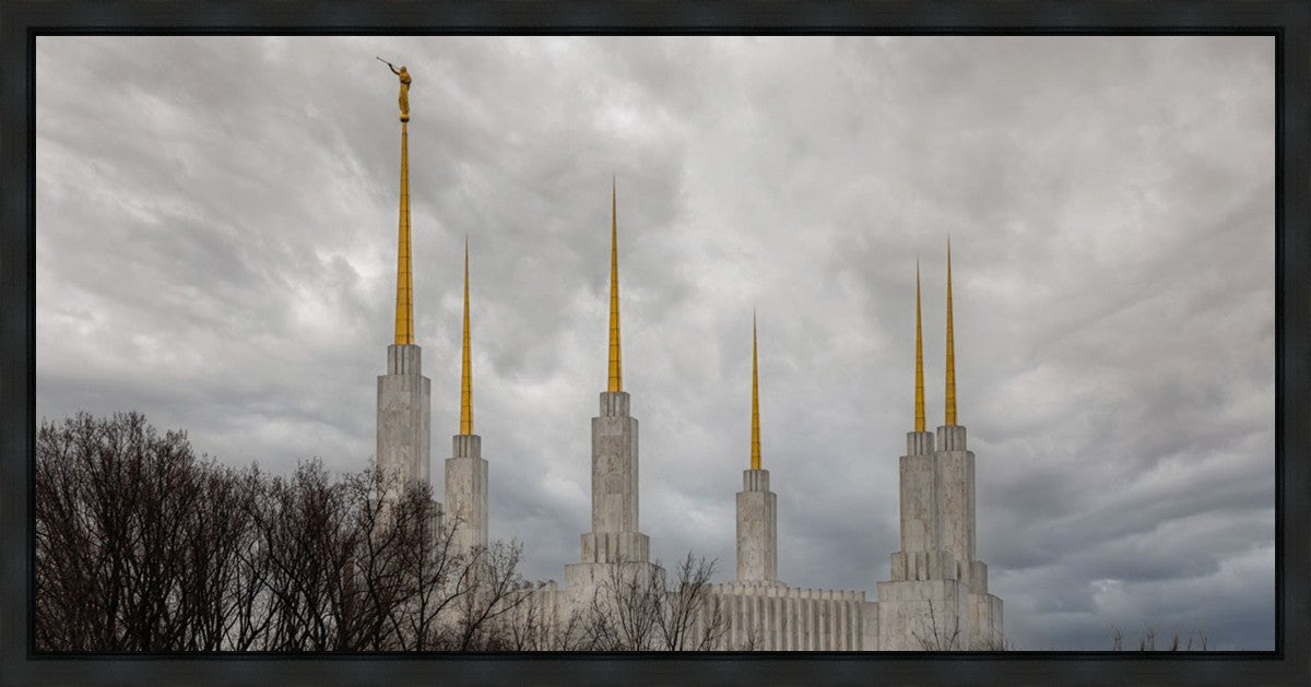 Washington DC Through Life's Storms Gallery Wrap