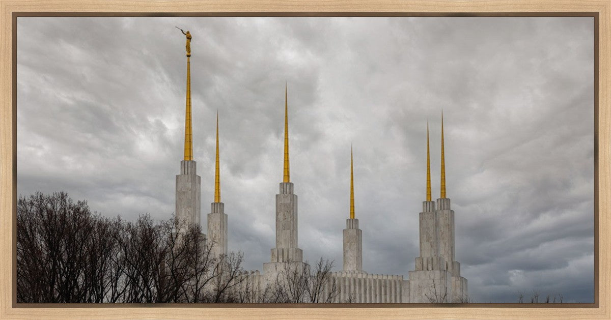 Washington DC Through Life's Storms Gallery Wrap