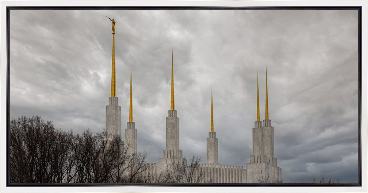 Washington DC Through Life's Storms Gallery Wrap