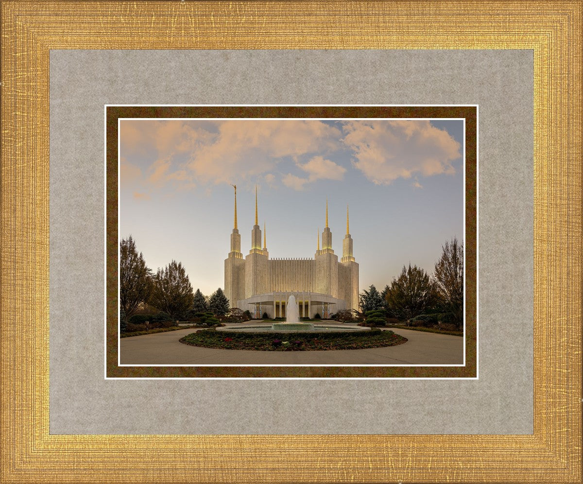 Washington DC Let Truth Prevail