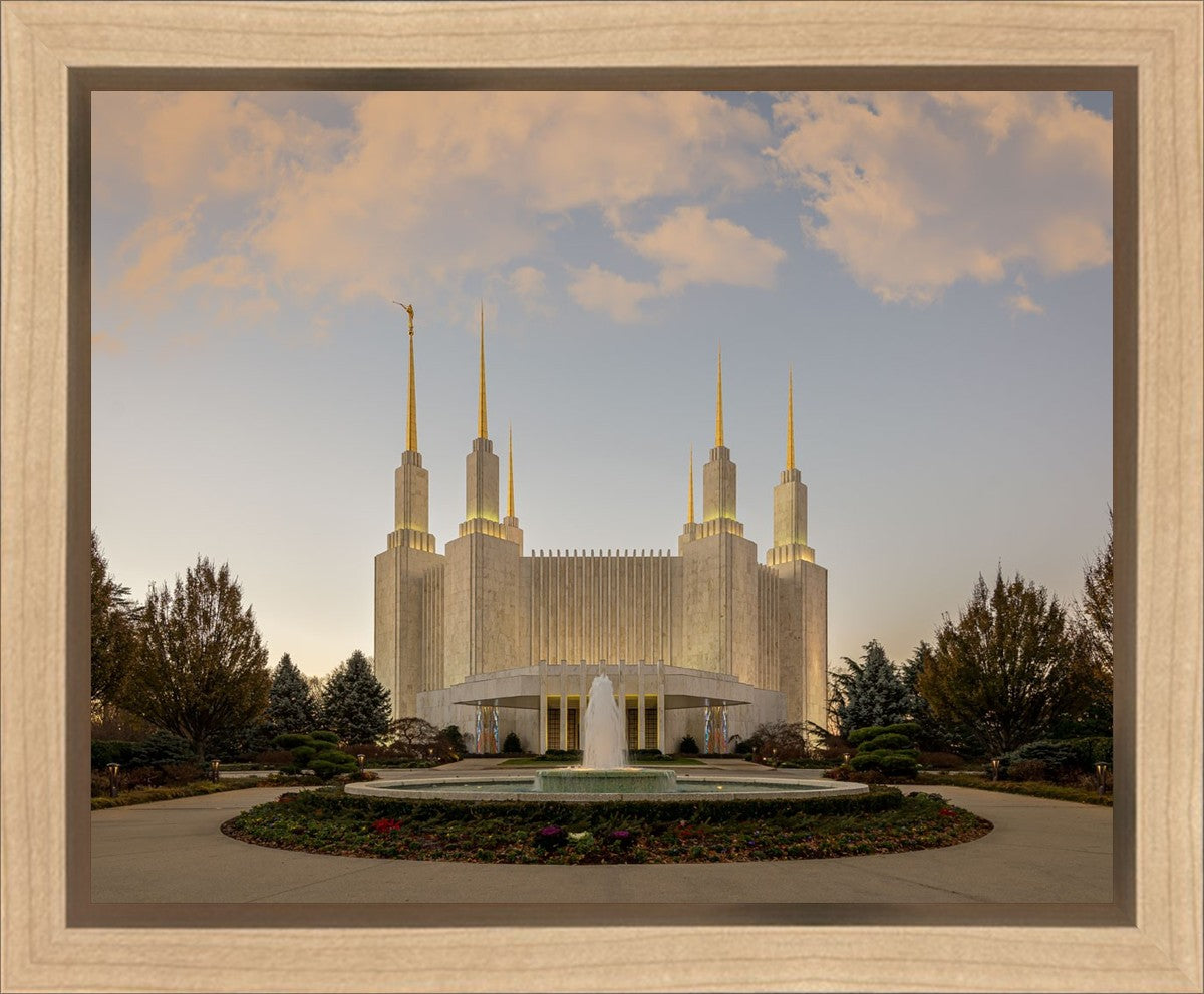 Washington DC Let Truth Prevail