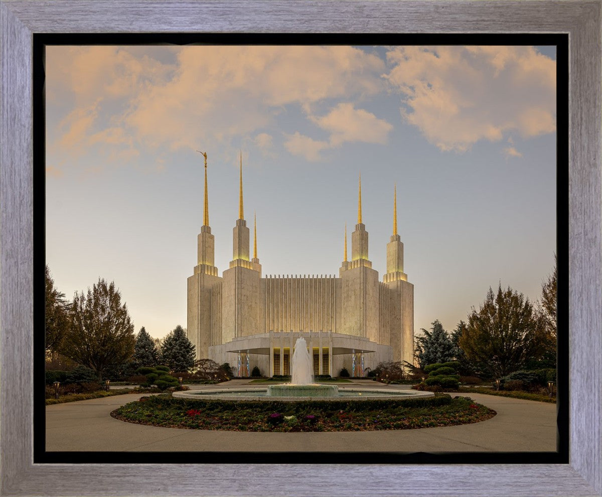 Washington DC Let Truth Prevail