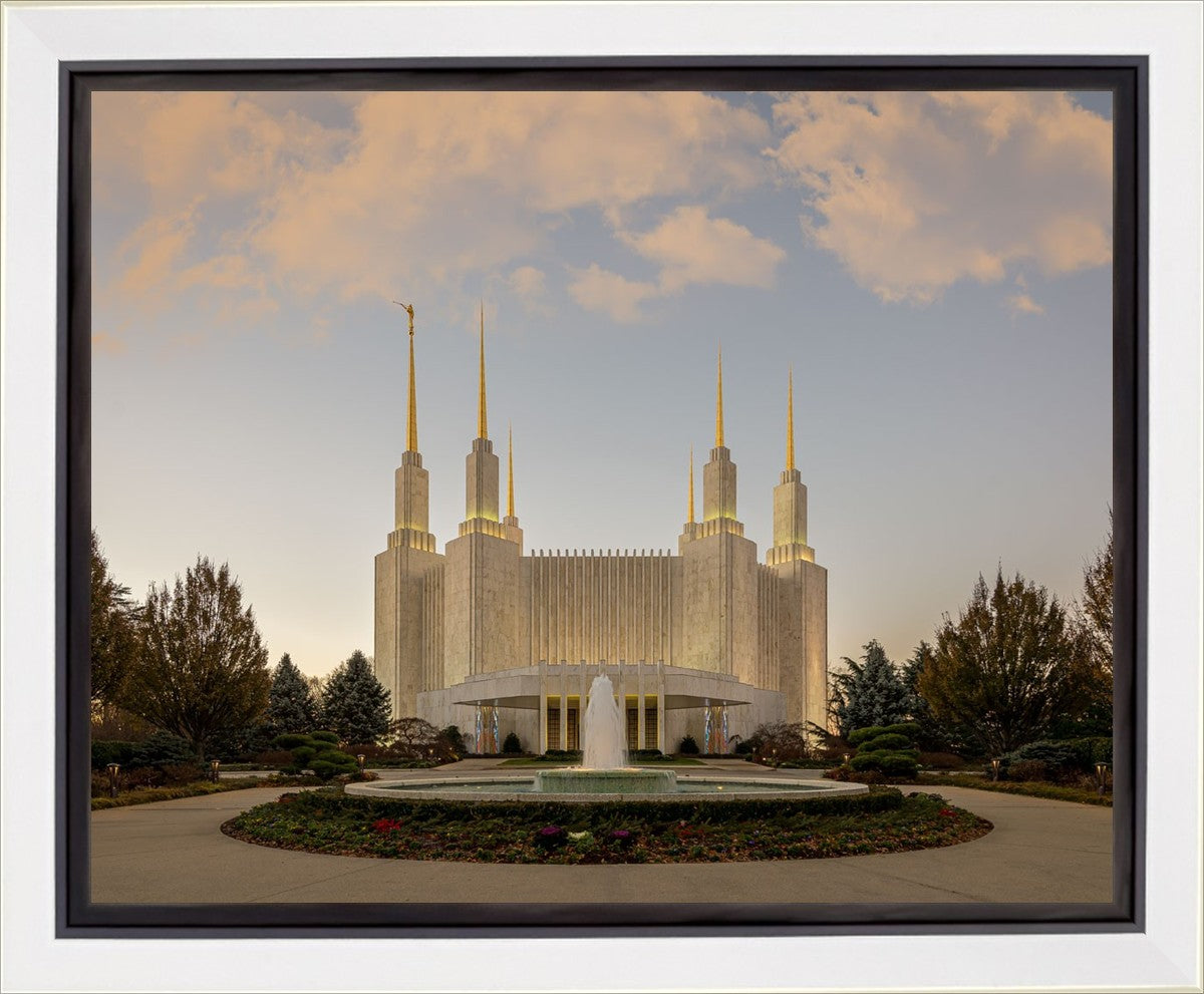 Washington DC Let Truth Prevail