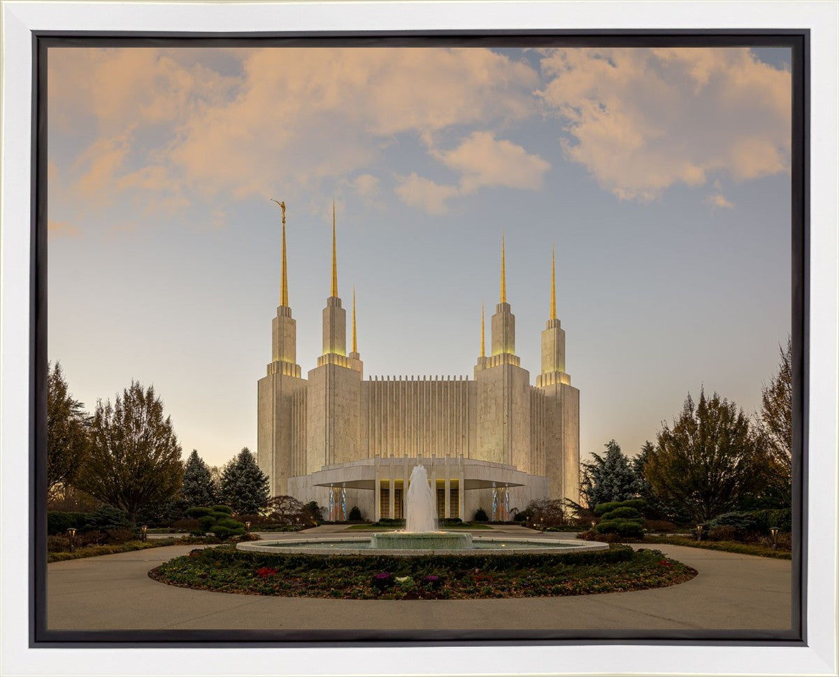 Washington DC Let Truth Prevail