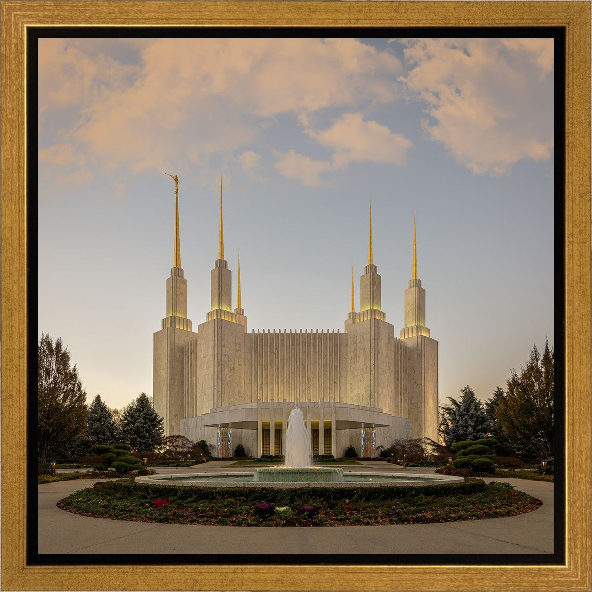 Washington DC Let Truth Prevail