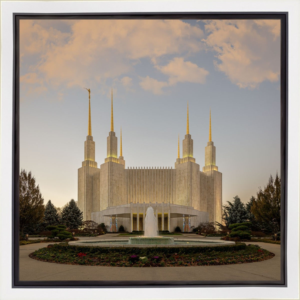 Washington DC Let Truth Prevail