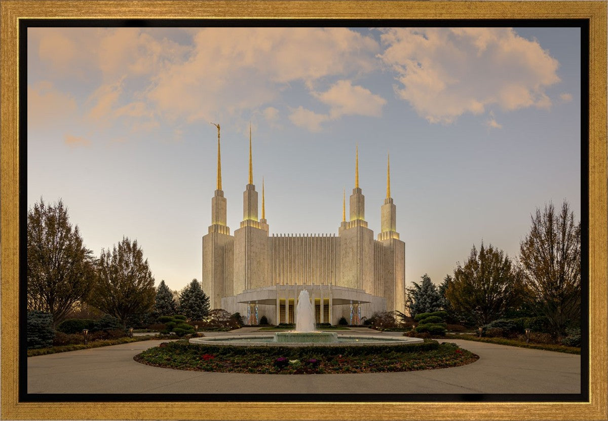 Washington DC Let Truth Prevail