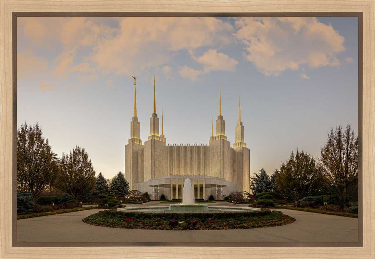 Washington DC Let Truth Prevail