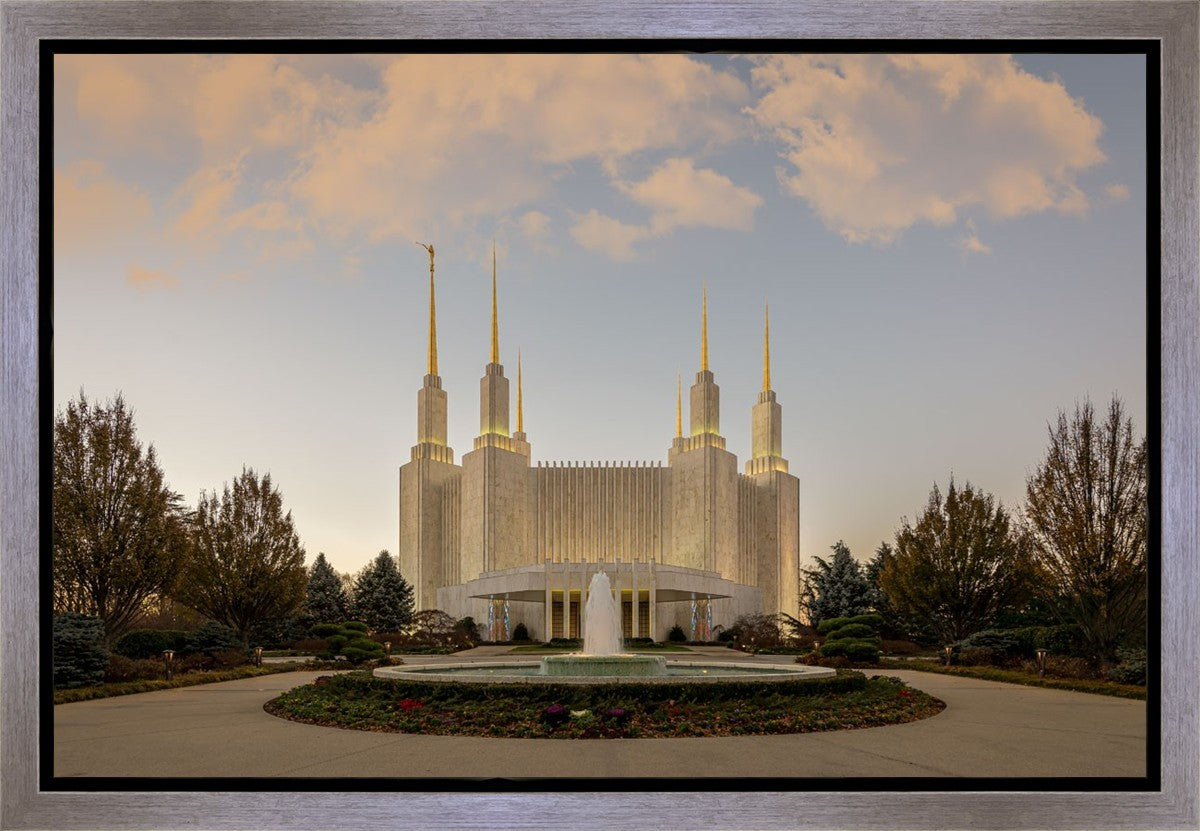 Washington DC Let Truth Prevail