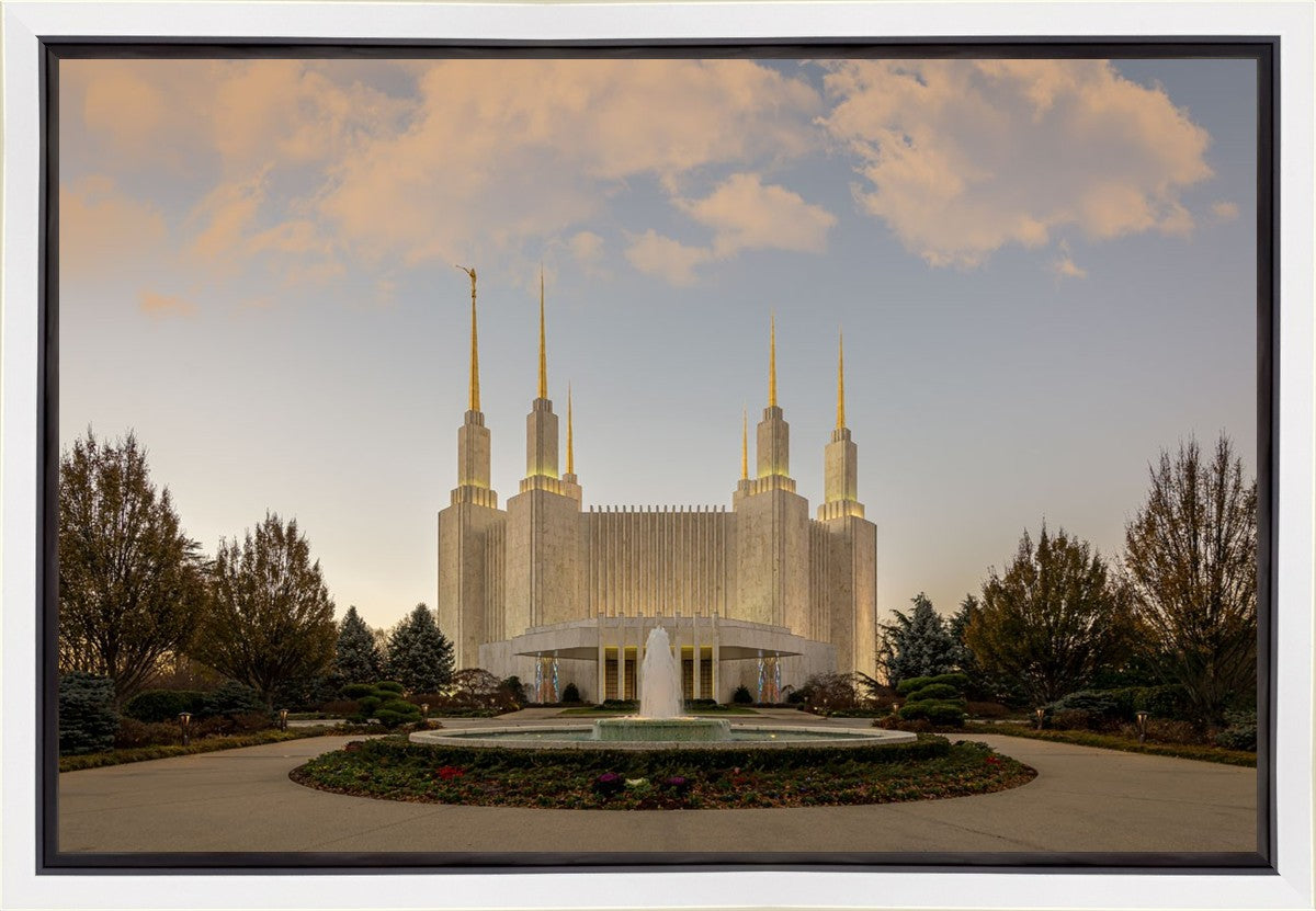 Washington DC Let Truth Prevail