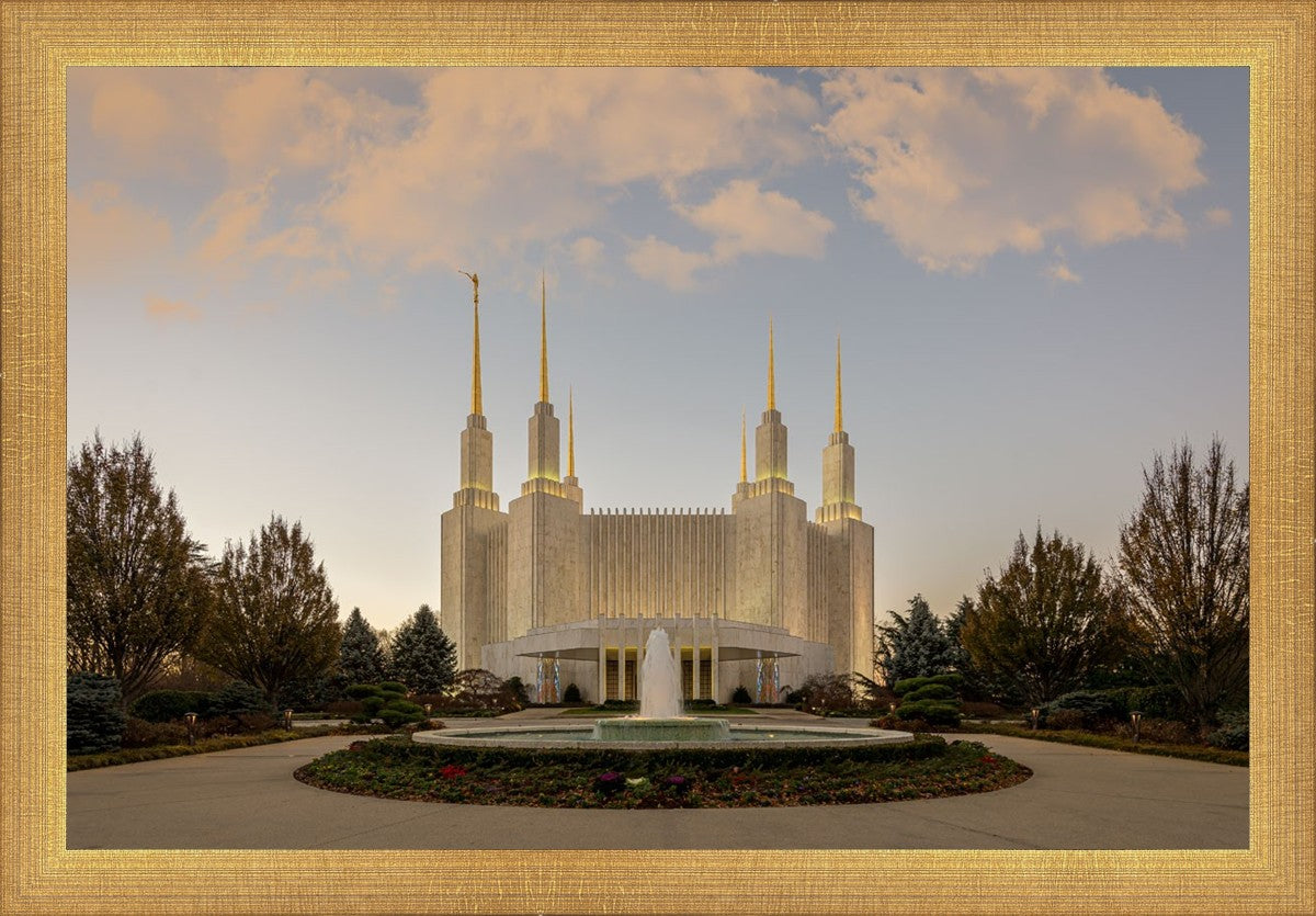 Washington DC Let Truth Prevail