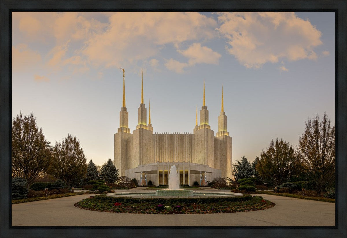 Washington DC Let Truth Prevail