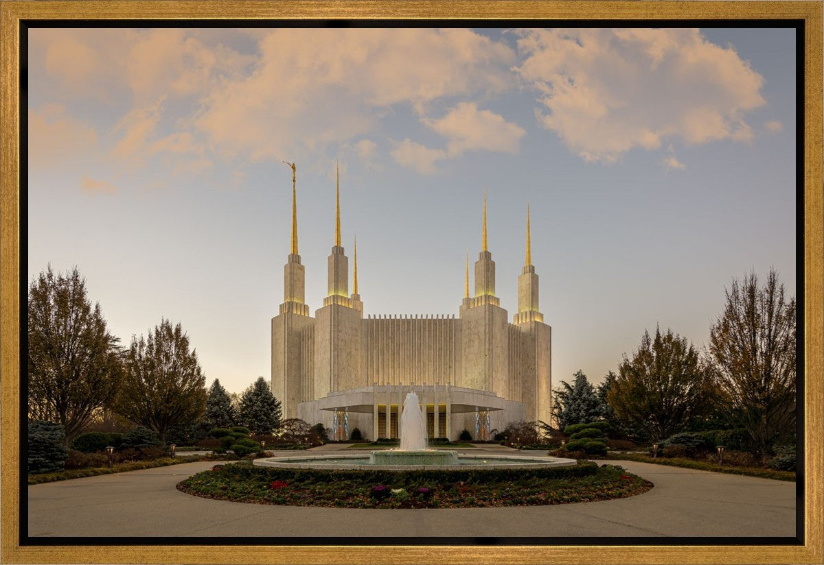 Washington DC Let Truth Prevail