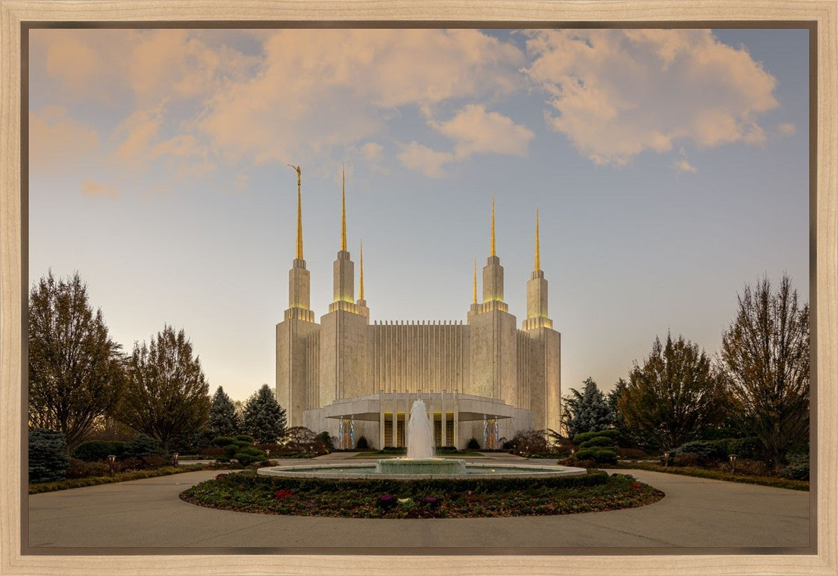 Washington DC Let Truth Prevail