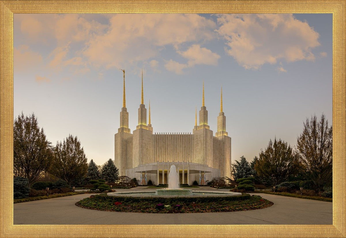 Washington DC Let Truth Prevail