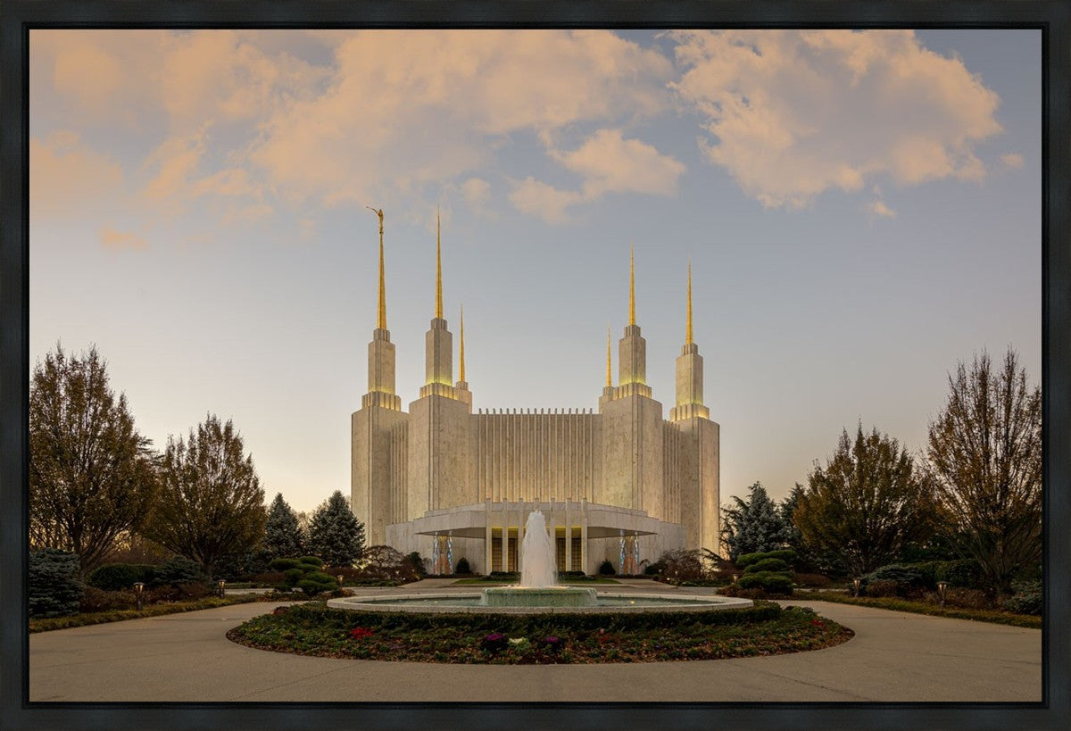 Washington DC Let Truth Prevail