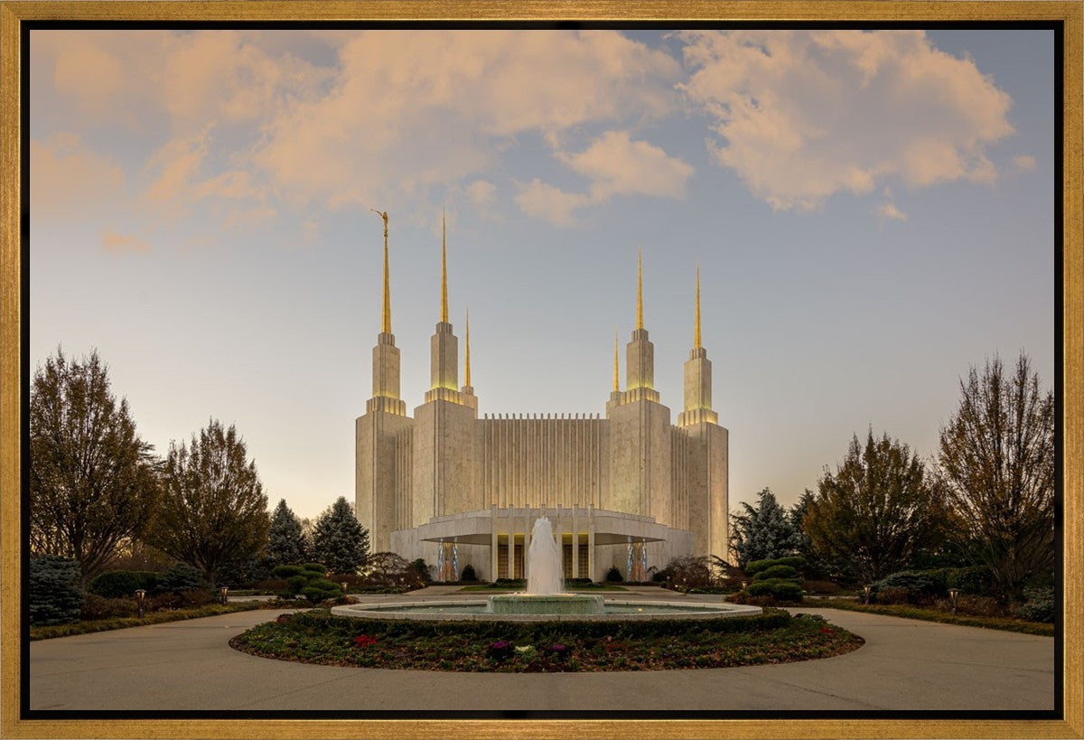 Washington DC Let Truth Prevail