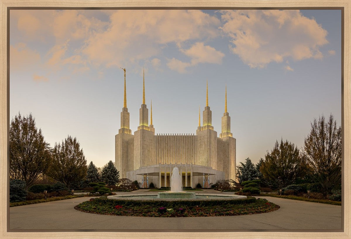 Washington DC Let Truth Prevail