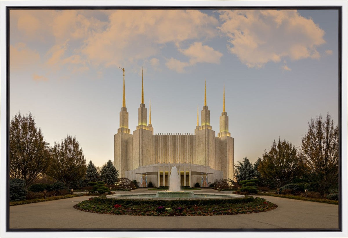 Washington DC Let Truth Prevail