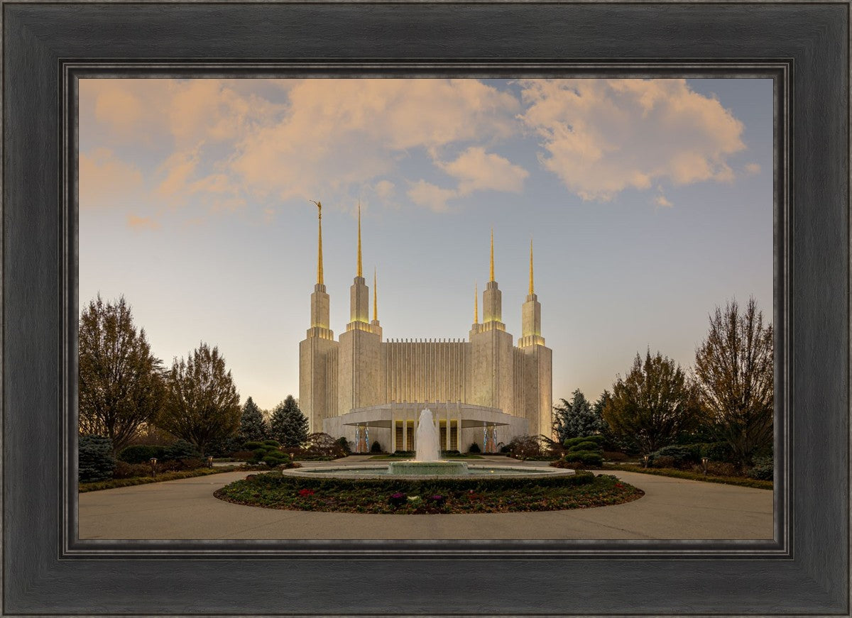 Washington DC Let Truth Prevail