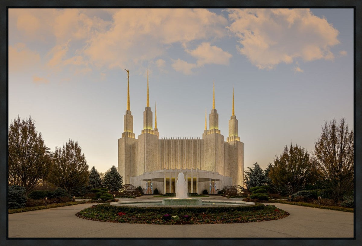 Washington DC Let Truth Prevail