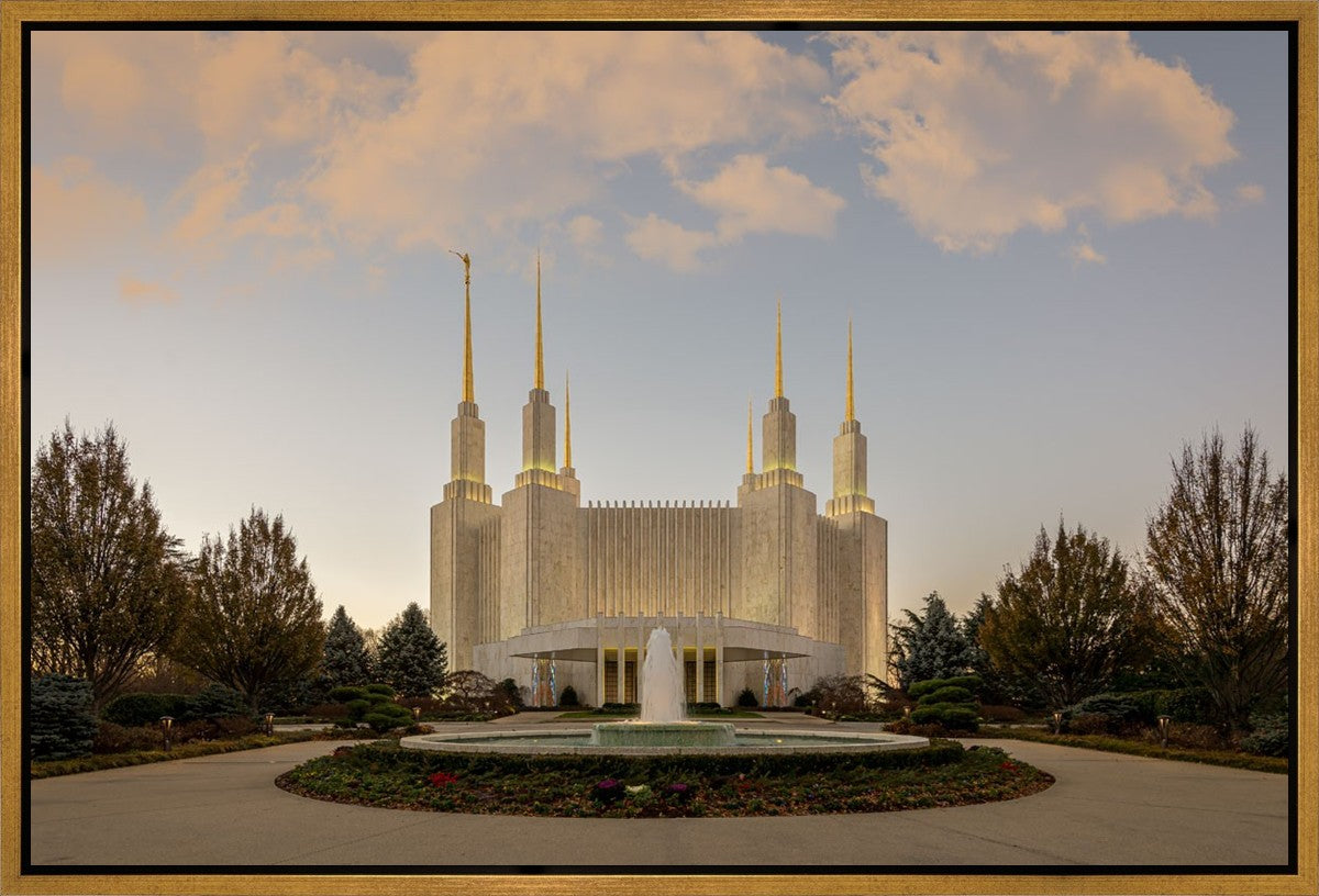 Washington DC Let Truth Prevail