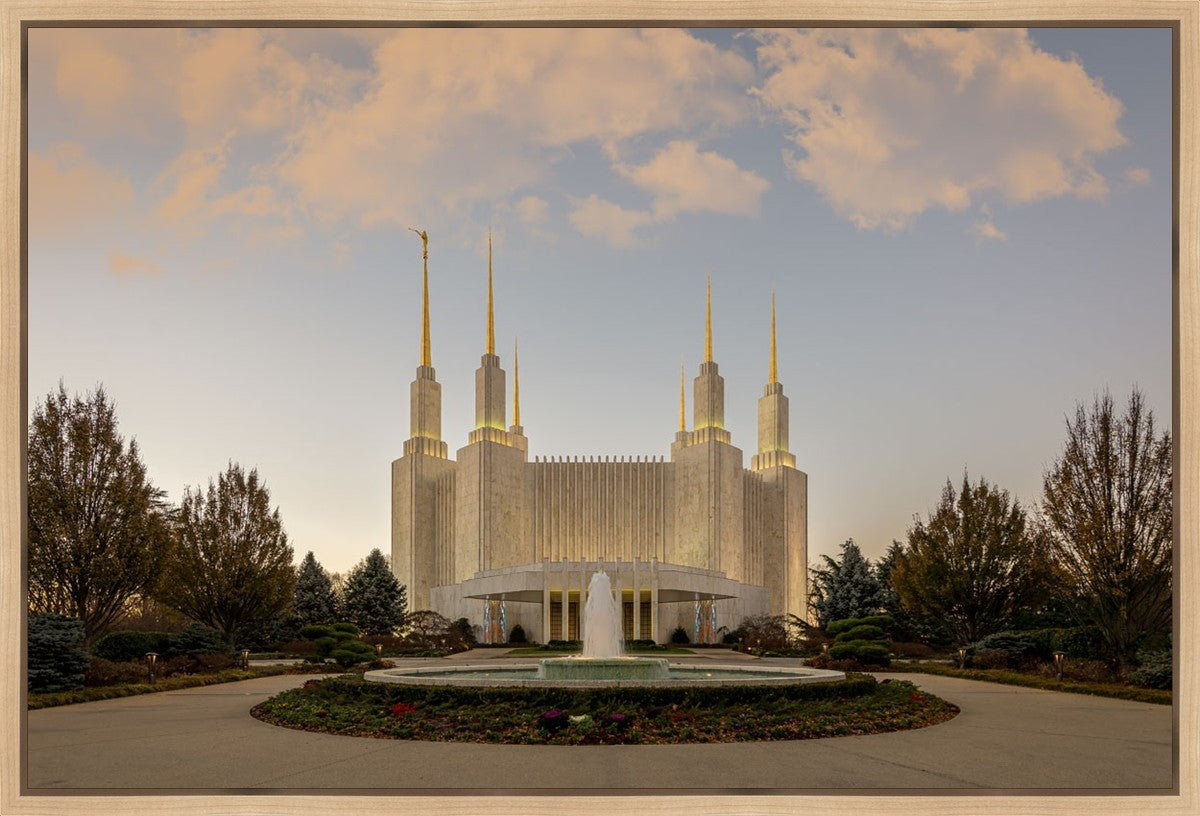 Washington DC Let Truth Prevail