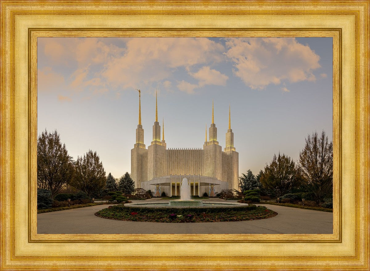 Washington DC Let Truth Prevail