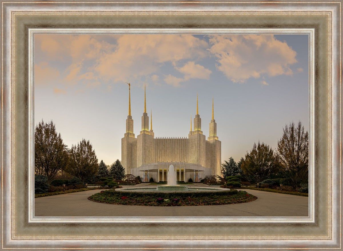 Washington DC Let Truth Prevail