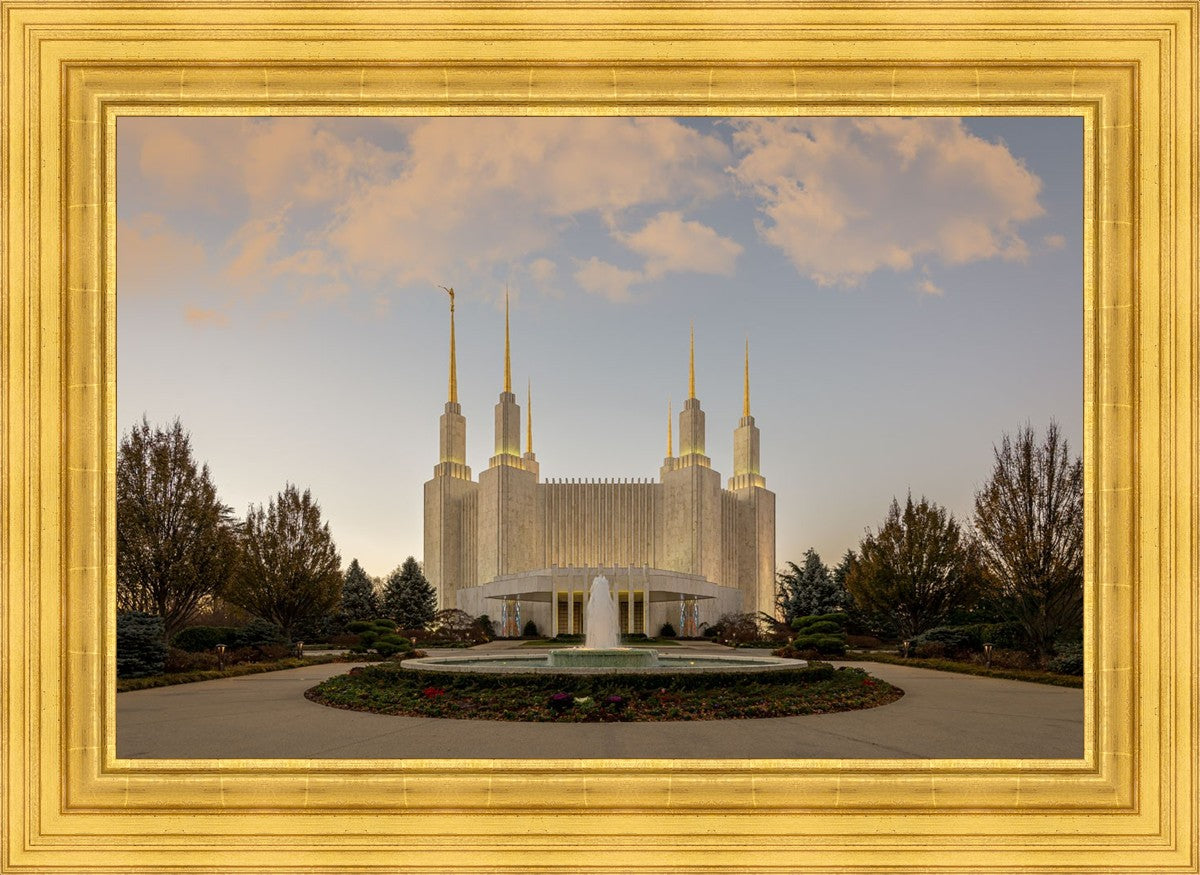 Washington DC Let Truth Prevail