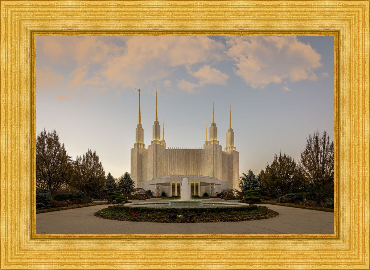 Washington DC Let Truth Prevail