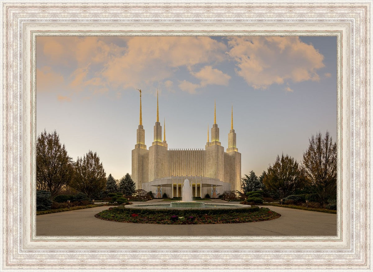 Washington DC Let Truth Prevail