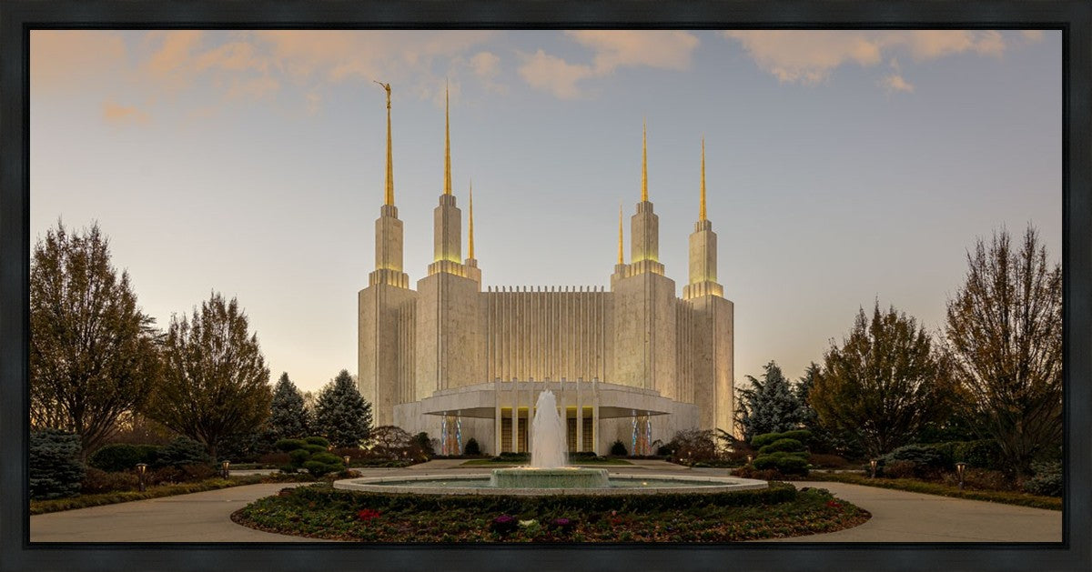 Washington DC Let Truth Prevail