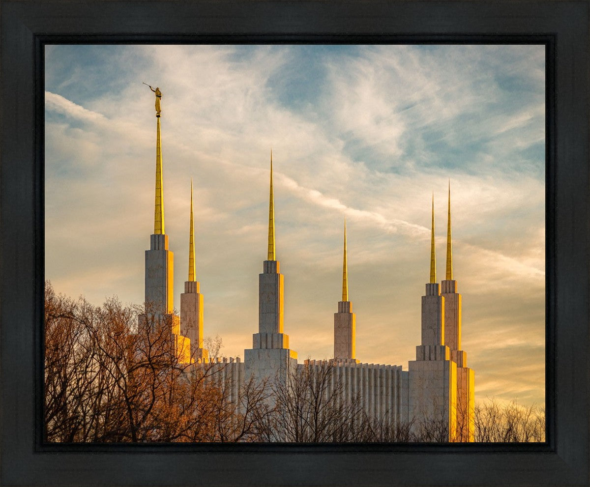 Washington DC Golden Hour Gallery Wrap