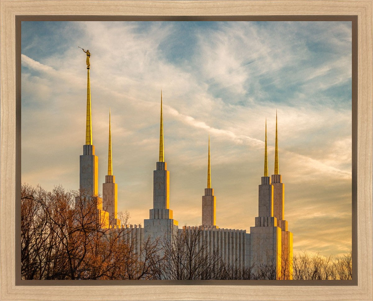 Washington DC Golden Hour Gallery Wrap